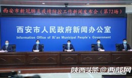 今天东莞新闻爆料视频最新,视频揭露惊人真相，事件引发社会关注