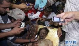 卡扎菲最新爆料,独家爆料揭示背后真相