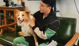 林生斌最新爆料小视频,事件背后惊人真相