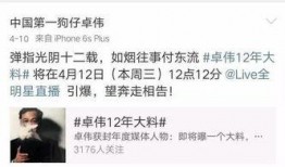 卓伟白百何最新爆料,揭秘娱乐圈惊人内幕！