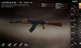 和平精英新武器最新爆料,神秘性能引发热议，玩家期待度飙升！