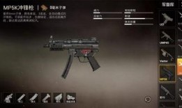 和平精英新武器最新爆料,神秘性能引发热议，玩家期待度飙升！