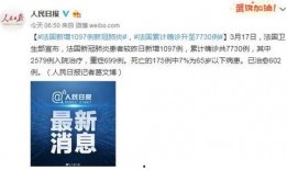 法国卫生部最新爆料,疫情真相与防控策略大揭秘