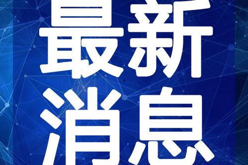 小海绵最新爆料辟谣视频,揭秘真相背后的真相