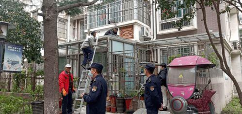 长涧社区爆料事件最新,事件真相逐步浮出水面