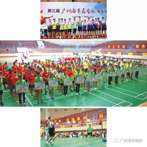 海丰爆料最新新闻报道,聚焦热点事件，深度解析背后真相